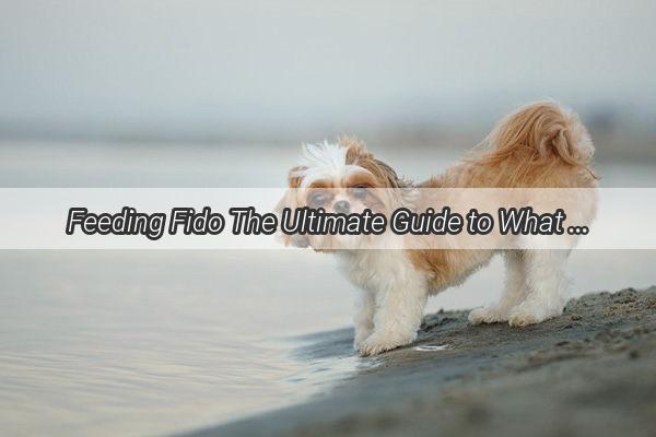 Feeding Fido The Ultimate Guide to What Types of Meat Make the Best Dog Diet